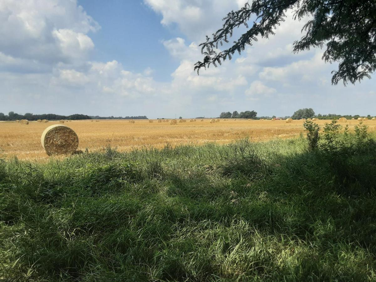 Tiszabábolna Herberg Tisza Bed & Breakfast エクステリア 写真