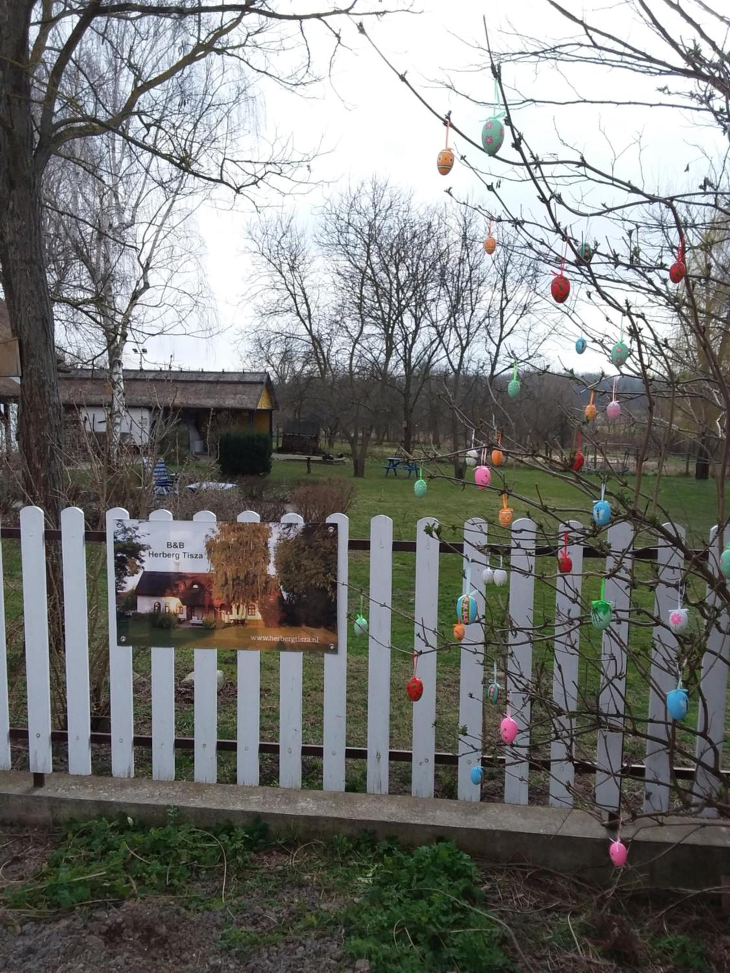 Herberg Tisza Tiszabábolna エクステリア 写真