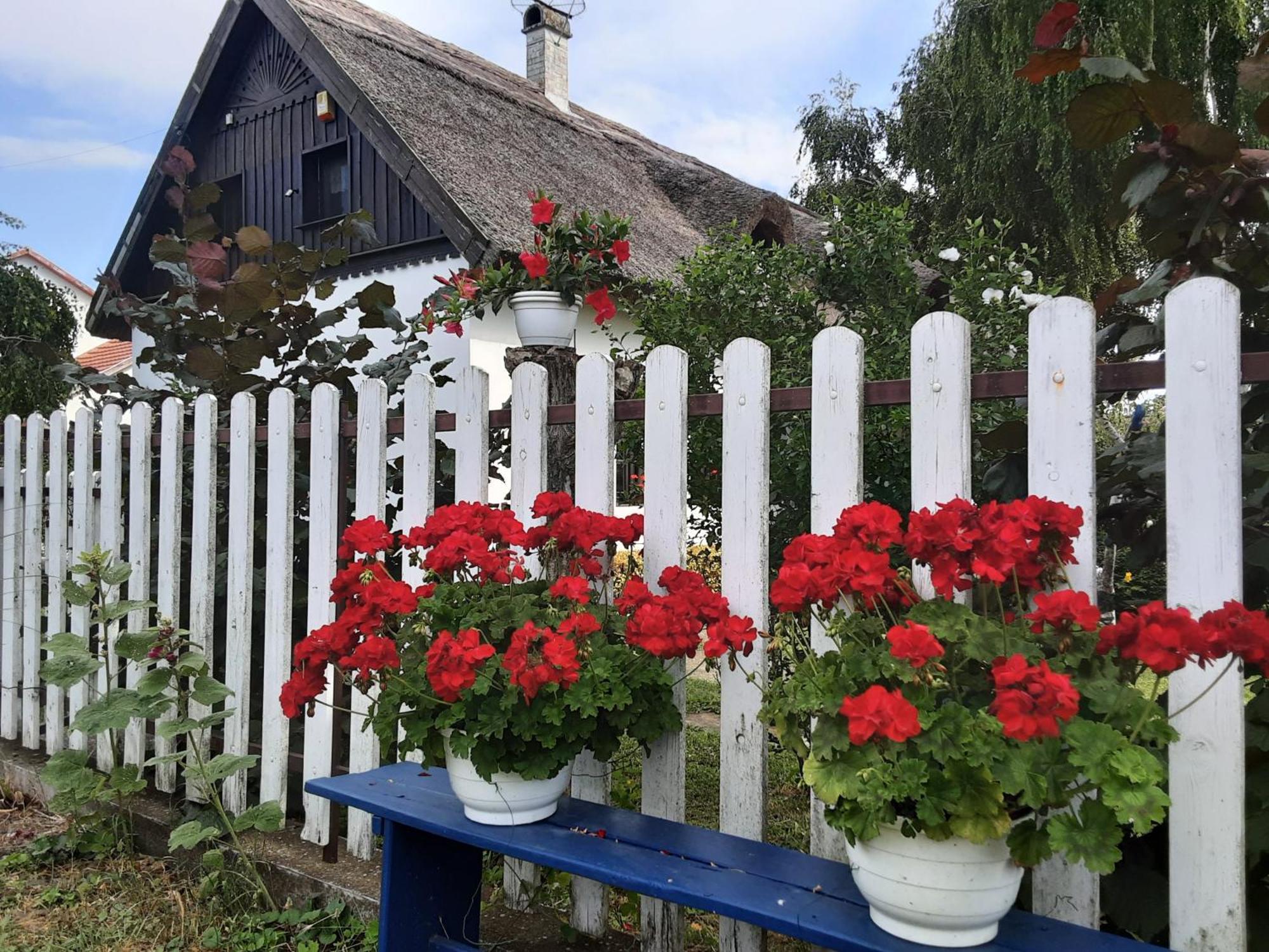 Tiszabábolna Herberg Tisza Bed & Breakfast エクステリア 写真