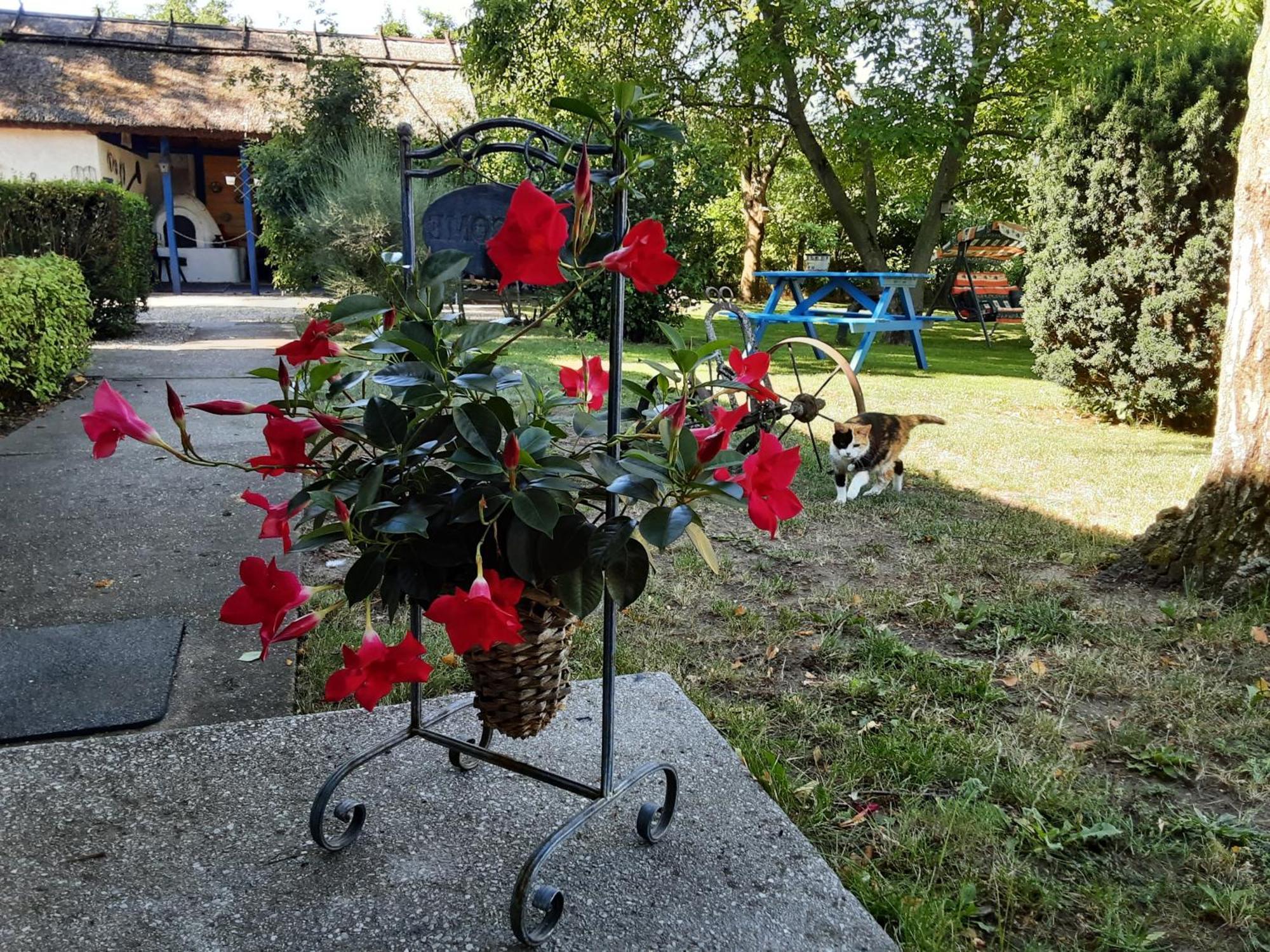 Tiszabábolna Herberg Tisza Bed & Breakfast エクステリア 写真