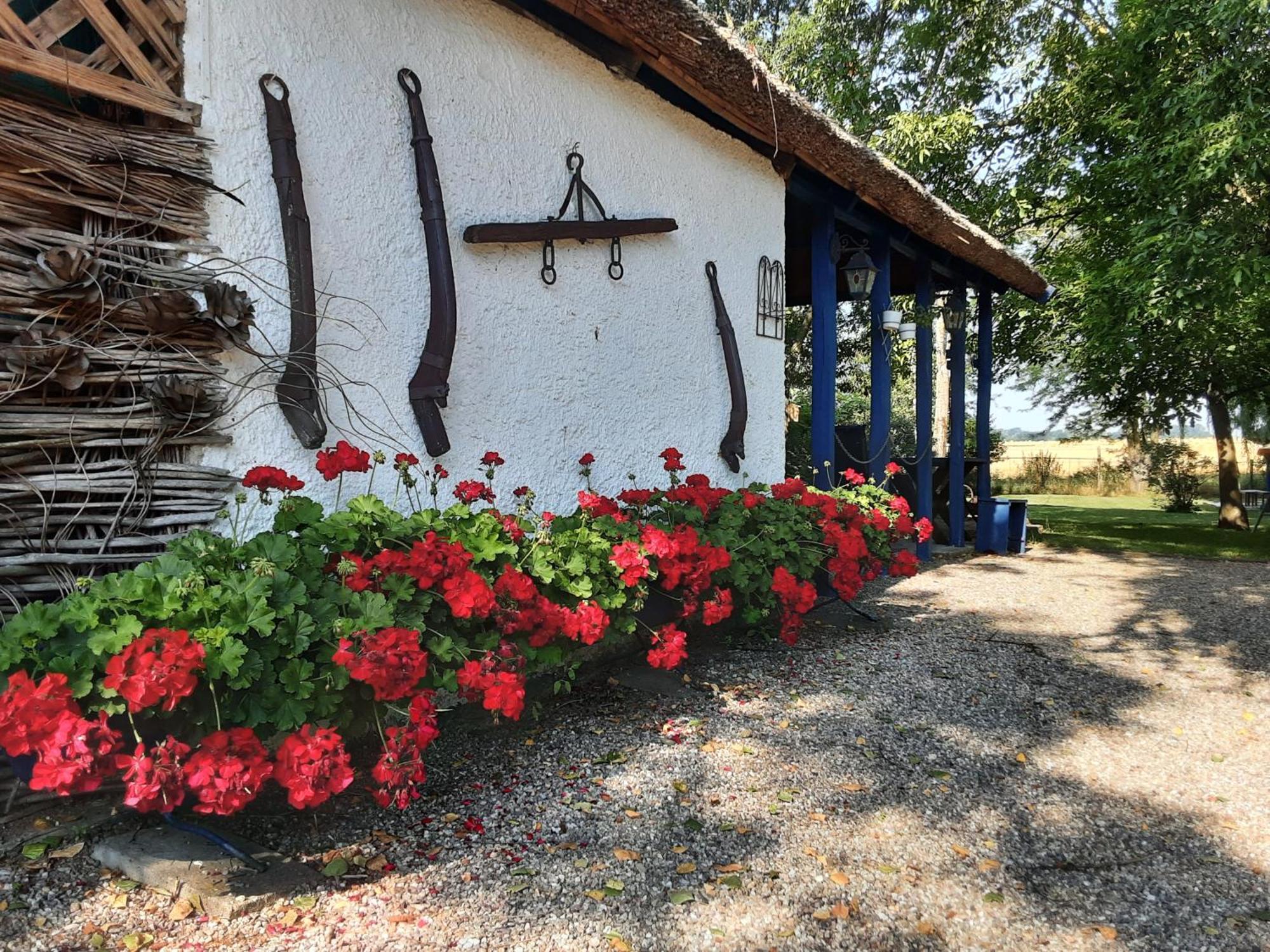 Tiszabábolna Herberg Tisza Bed & Breakfast エクステリア 写真